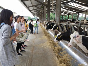 首爾文化環境體驗之旅2018