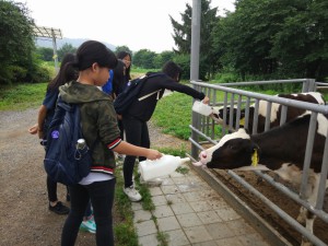 首爾文化環境體驗之旅2018